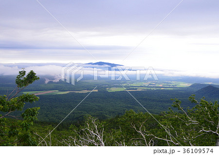 南西側から眺めた「斜里岳」(北海道川上郡弟子屈町) 南西側から眺めた「斜里岳」(北海道川上郡弟子屈町) 36109574