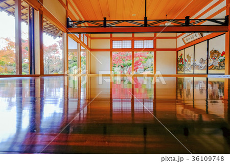 床に映る紅葉 36109748