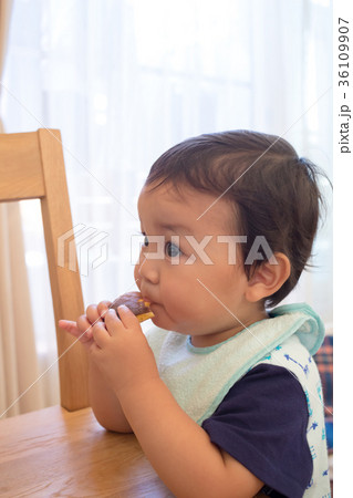 1 year old 1 year old 36109907