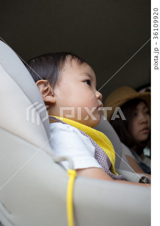 1 year old 1 year old 36109920