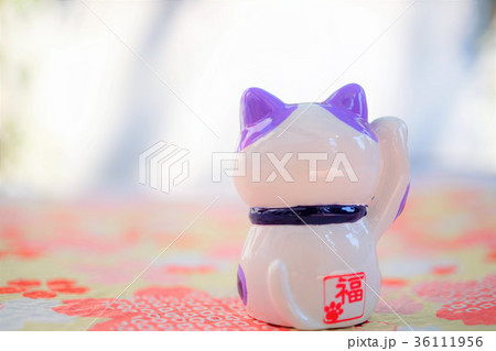 招き猫 36111956
