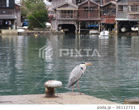 舟屋とアオサギ 36112731