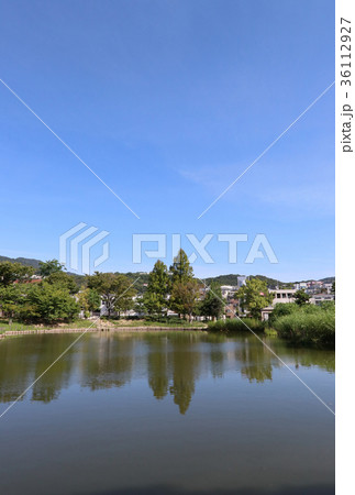 西宮市 樋之池公園 西宮市 樋之池公園 36112927