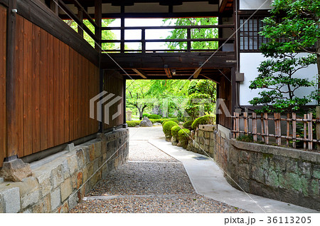 大阪 四天王寺の日本庭園 大阪 四天王寺の日本庭園 36113205