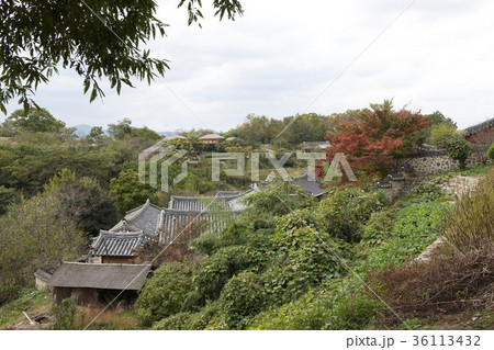 住宅 風景 枝 36113432