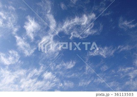 雲 背景 青 36113503