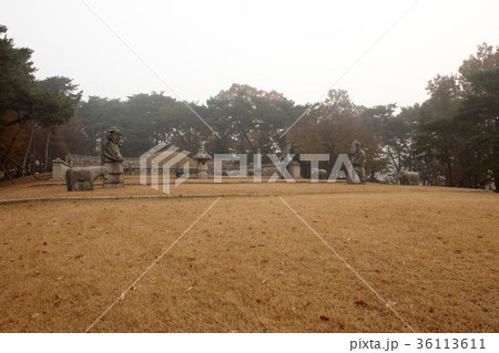 陵 墓 石像 36113611