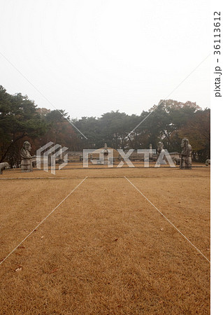 陵 墓 石像 36113612