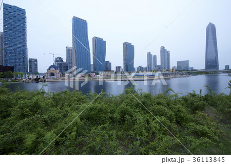 高層ビル ビル 風景 36113845