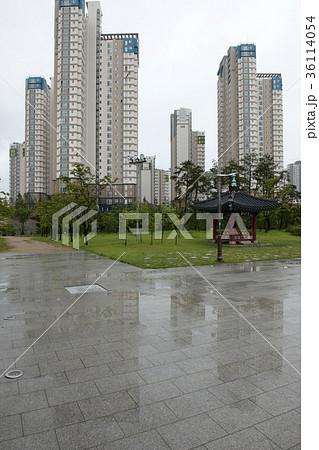 高層マンション 公園 アパート 36114054