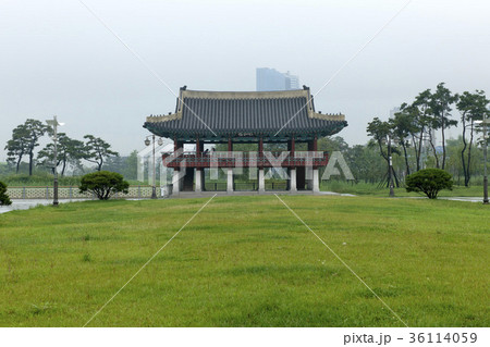 芝生 建築 木 36114059