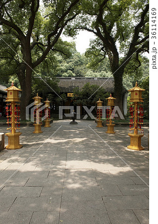 庭 建築 古建築 36114169