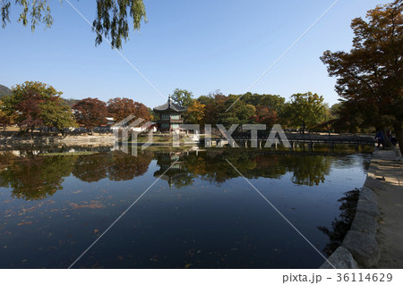 宮殿 池 風景 36114629