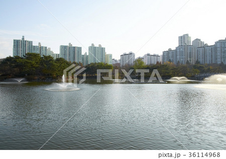 公園 橋 アパート 36114968