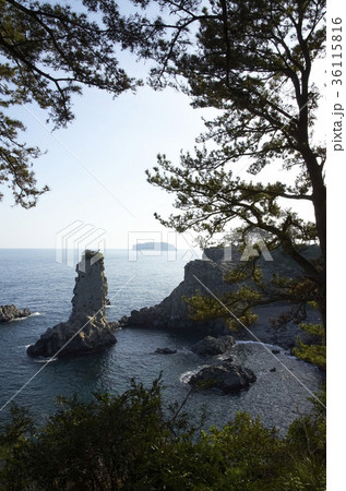 木 海 岩 36115816