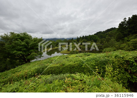 修学院離宮　上離宮　浴龍池 36115946