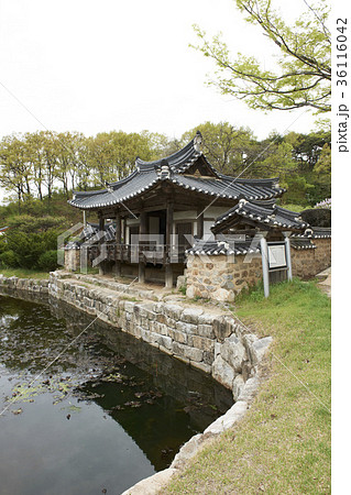 池 建築 慶北 36116042