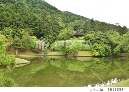 修学院離宮 上離宮 浴龍池 修学院離宮 上離宮 浴龍池 36116584