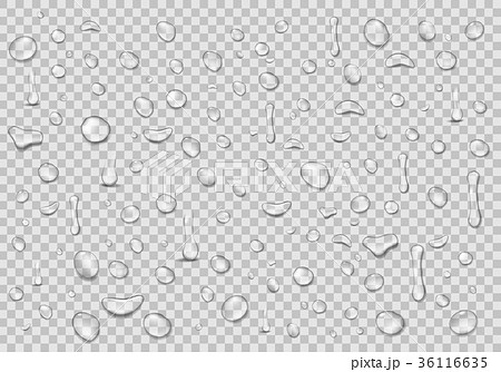 Water drops transparent background. Clean drop 36116635