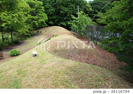 深大寺城 本丸跡に残る土塁 深大寺城 本丸跡に残る土塁 36116794
