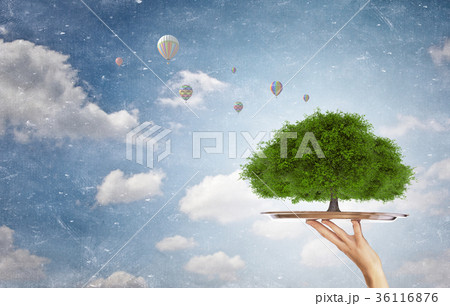 Green life on tray 36116876