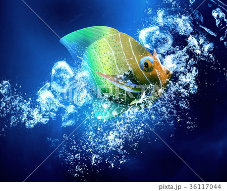 Exotic fish in water Exotic fish in water 36117044