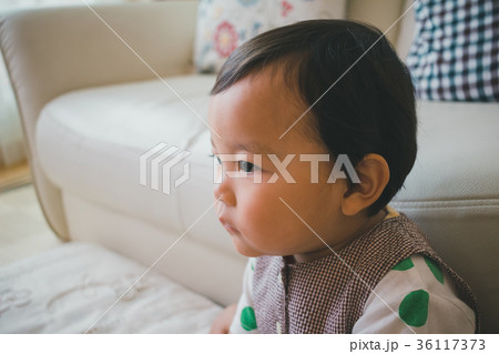 1 year old 1 year old 36117373