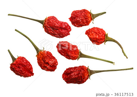 Dried Aji Coracao de galinha C. baccatum,top,paths 36117513