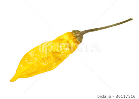 Dried Aji Limon pepper C. baccatum, top, paths 36117516
