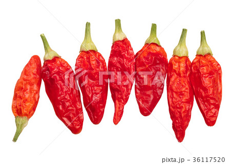 Dried Tabasco chiles C. frutescens, top, path 36117520