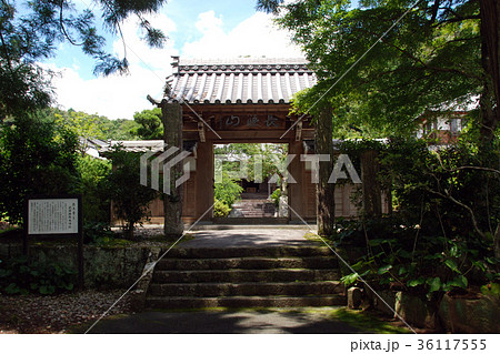 長篠城下 医王寺 長篠城下 医王寺 36117555