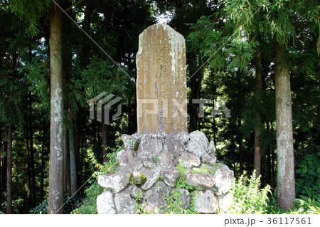 長篠城跡　鳥居強右衛門の石碑 36117561