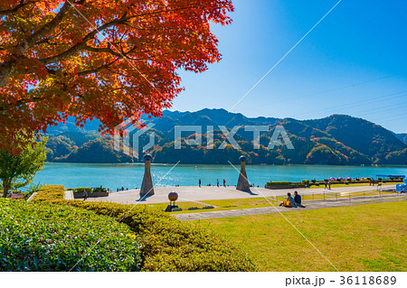真っ赤な紅葉と相模湖の湖畔風景(2017年) 真っ赤な紅葉と相模湖の湖畔風景(2017年) 36118689