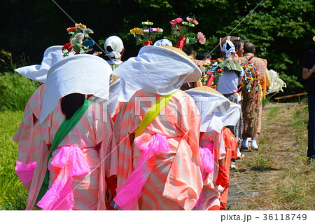 花笠行列（佐渡島／新潟県佐渡市） 36118749