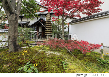 圓徳院の紅葉 36119449