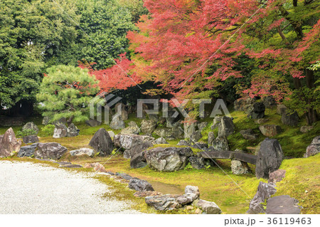 圓徳院の紅葉 36119463