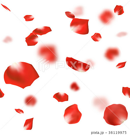 バラ 花びら 舞い散る 赤のイラスト素材