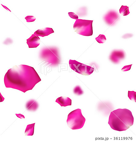 バラ 花びら 舞い散る ピンクのイラスト素材 36119976 Pixta