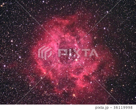 バラ星雲 36119998