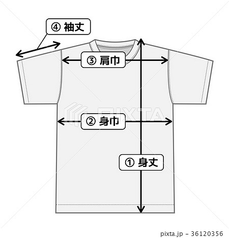 半袖tシャツ 寸法表 サイズ表用イメージイラストのイラスト素材 36120356 Pixta