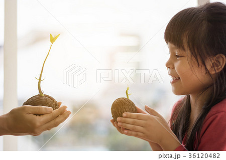 Girls and mothers prepare to plant seeds.selective focus Girls and mothers prepare to plant seeds.selective focus 36120482