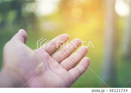 abstract picture of nature hand with sunlight abstract picture of nature hand with sunlight 36121734