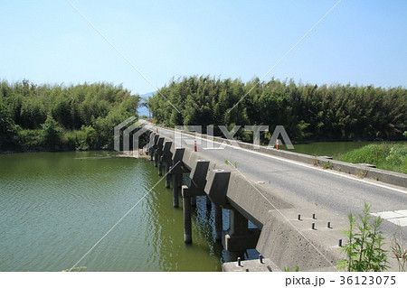 吉野川の潜水橋 36123075