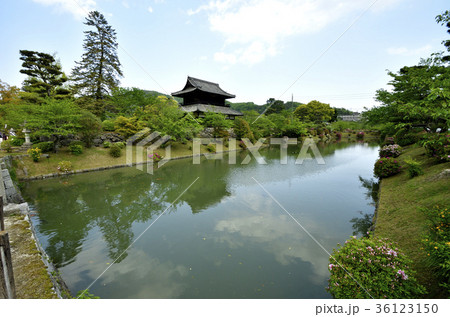 吉香公園 吉香公園 36123150