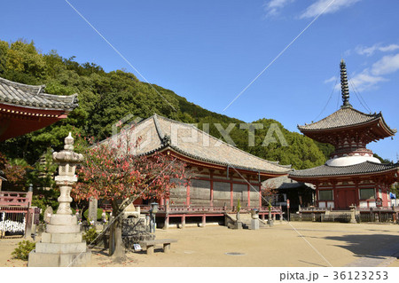 【広島県 尾道市】浄土寺 36123253