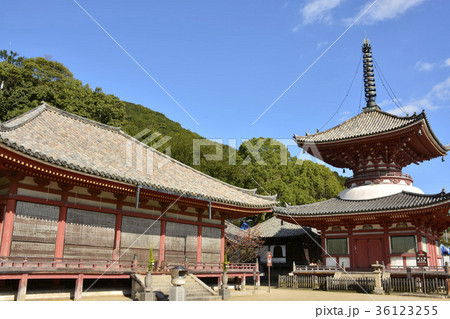 【広島県 尾道市】浄土寺 36123255
