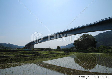 徳島自動車道吉野川橋 徳島自動車道吉野川橋 36123640