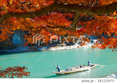 長瀞の紅葉と長瀞ライン下り 長瀞の紅葉と長瀞ライン下り 36123973