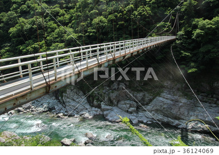 吉野川 国政橋 吉野川 国政橋 36124069