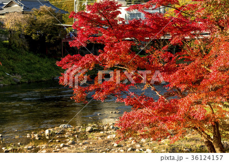 紅葉に彩られた香嵐渓の絶景 紅葉に彩られた香嵐渓の絶景 36124157